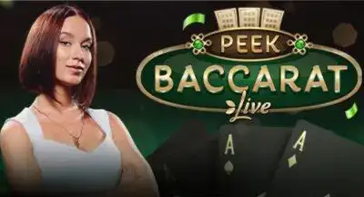 8x betcom